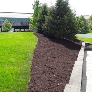 Meet your Posher, Eduardo